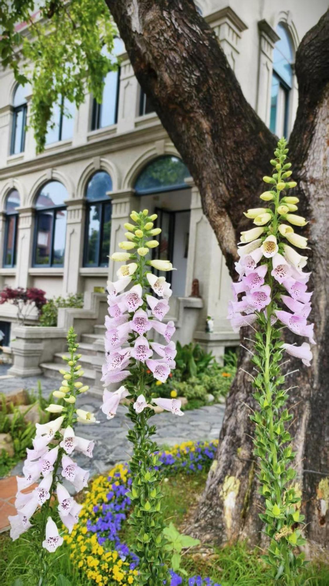 Xiamen Gulangyu Heitan Hotel Exterior foto